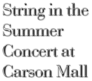 Logo for summer concert