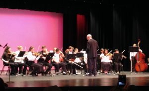 Photograph of Strings in the Schools students performing in December 2016